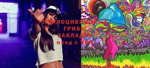 MESCALINE Инсар