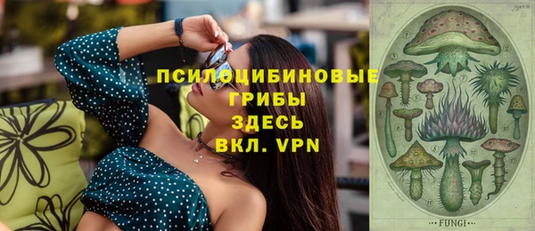MESCALINE Инсар