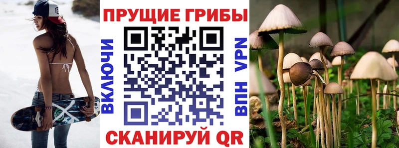 Купить где  Гремячинск  Галлюциногенные грибы Magic Shrooms 